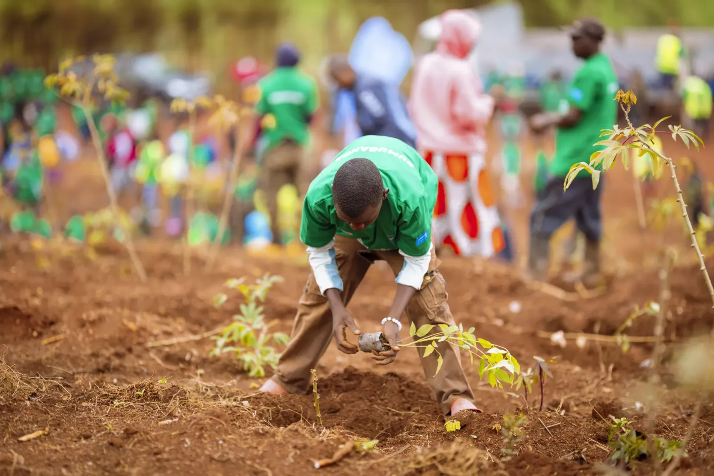 During the national launch of the Green Rising Project in Rwanda, young people in Gisagara District join UNICEF and partners at the Special Umuganda of Youth to plant trees and empower youth to lead climate action.