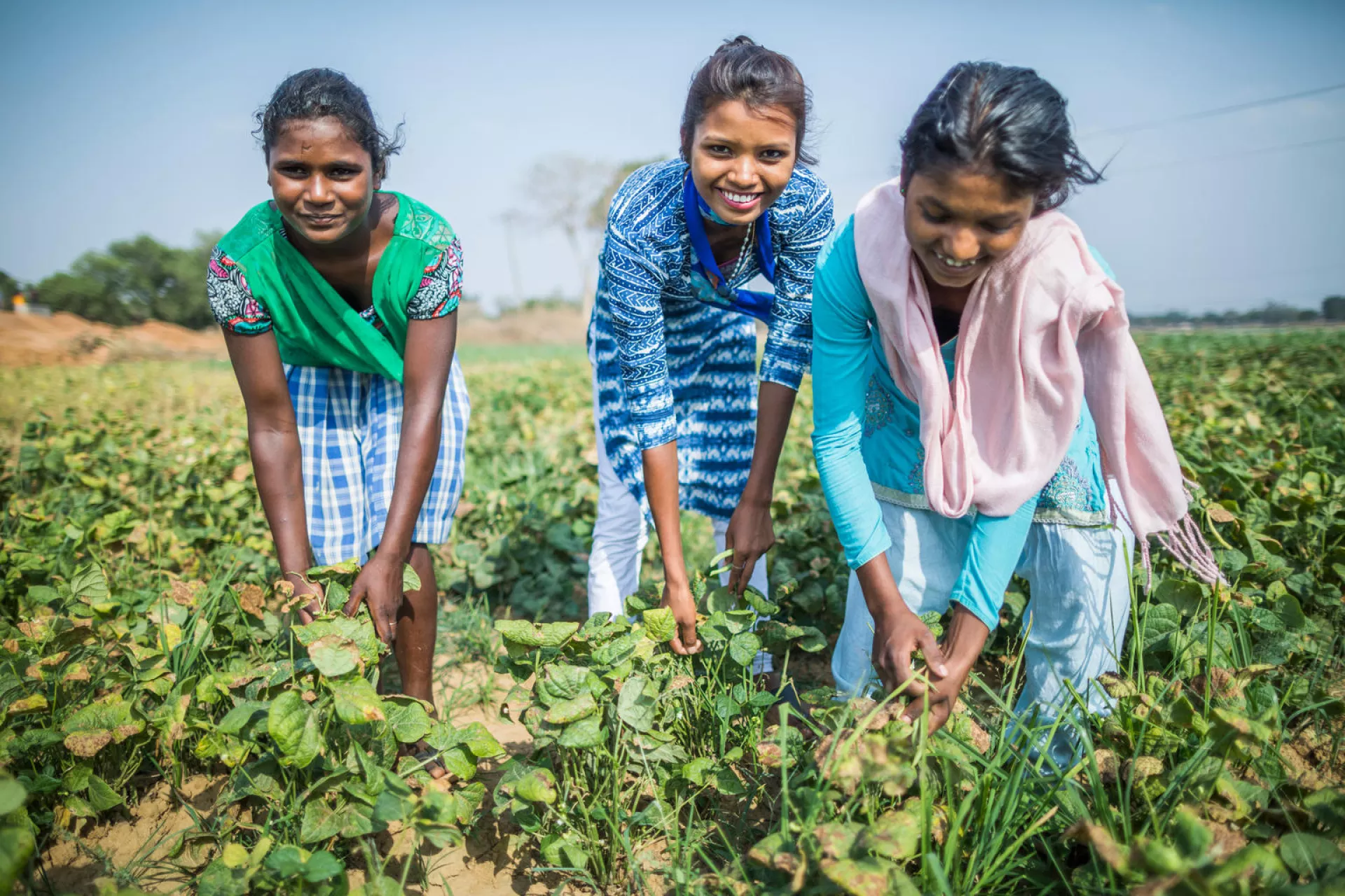 Adoloscent girls symbolically work on a farm &nbsp;breaking the taboo of not working in the forms during mesuration. &nbsp;The girls learnt about the physiology of mesuration during a session on Peer Education organised by Srijam Foundation as part of Menstrual Health and Hygiene Management for Adolescents Girls project (MAHIMA) an initiative of UNICEF in Khatri Khatanga.
