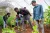 Grace interacting with learners in the middle of a crop.