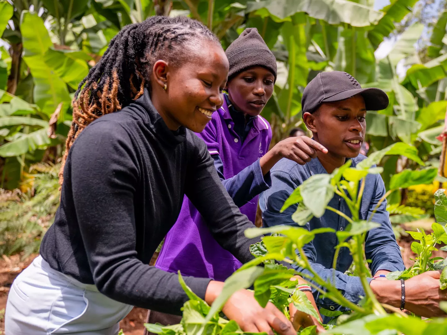Young Kenyan agripreneurs working with plants
