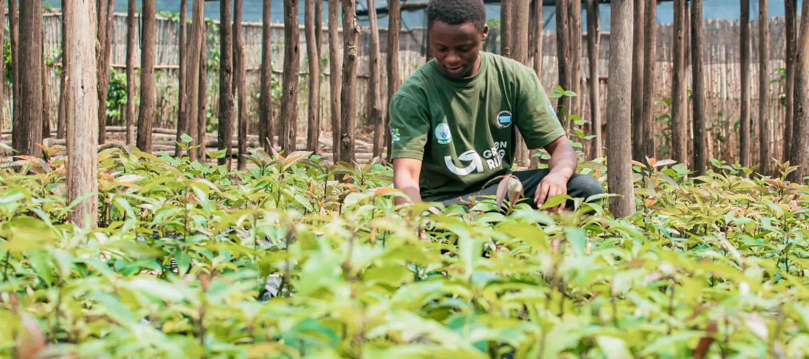 Young person participating in the GreenRising programme tends seedlings inside a plant nursery in Rwanda.