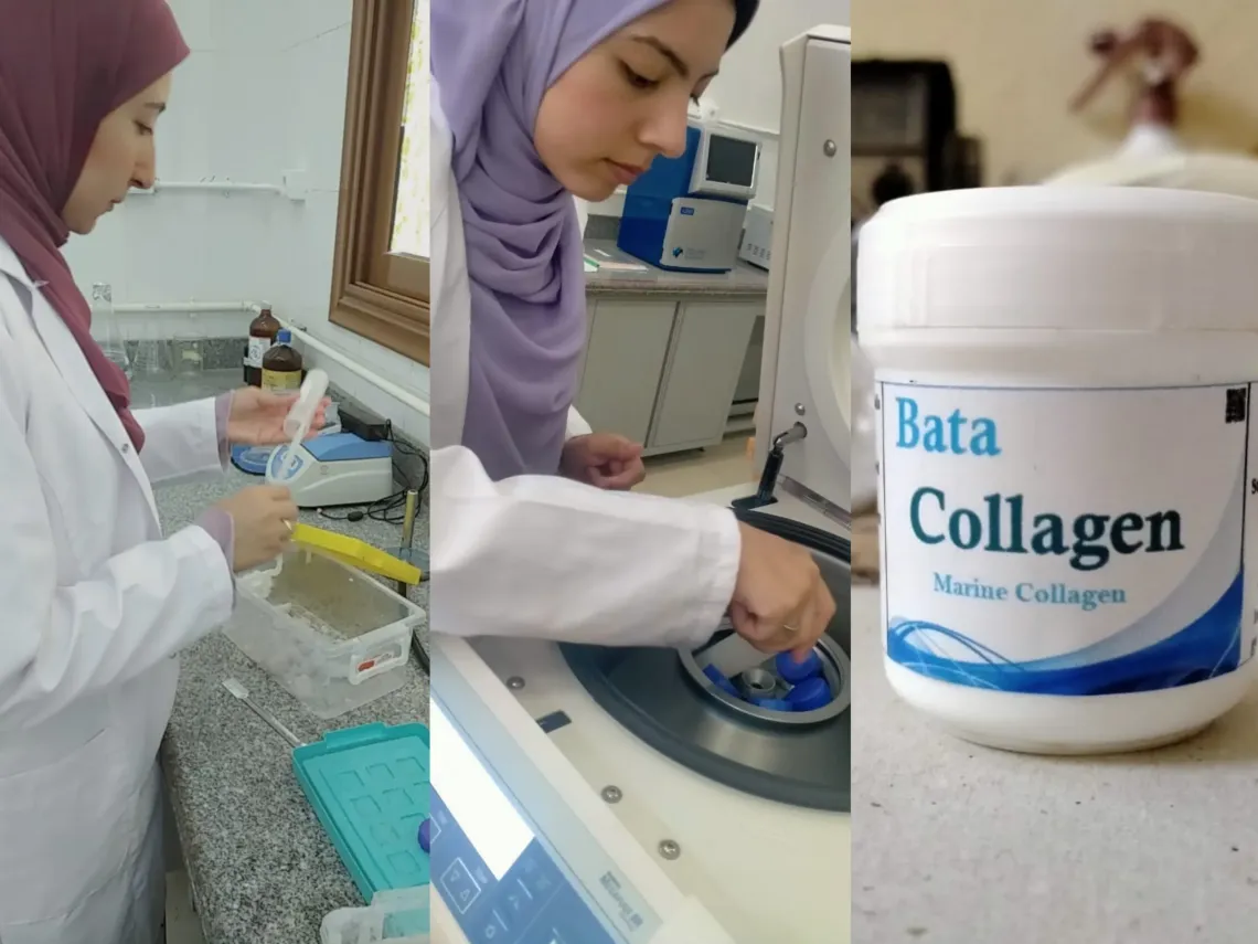 A collage showing Ahlam Fathy&rsquo;s marine collagen startup process. Left: Ahlam, wearing a lab coat and hijab, works at a laboratory bench handling fish byproducts. Center: A hand holds two test tubes containing extracted material settling into layers. Right: A small white container labeled &lsquo;Bata Collagen &ndash; Marine Collagen,&rsquo; representing the final product developed from recycled fish waste through her startup CoBata.