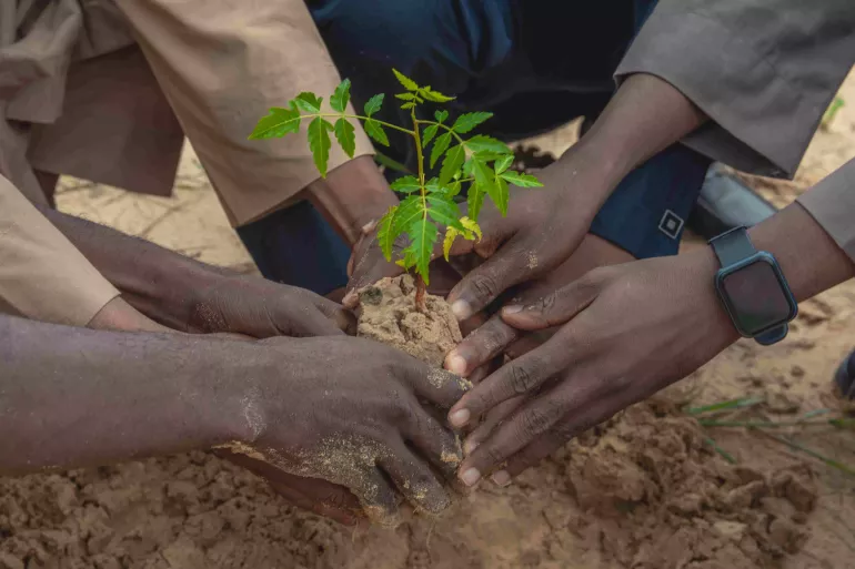 Hands of young people from Nigeria holding a seedling as they plant it into the soil,